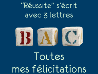 Réussite BAC