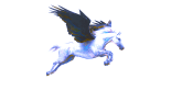 Le guide Pegasus Mail